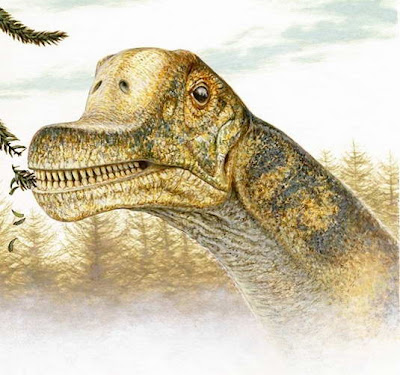 10 Spesies Dinosaurus Yang Baru Ditemukan - 1xdeui