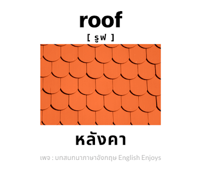 roof - หลังคา