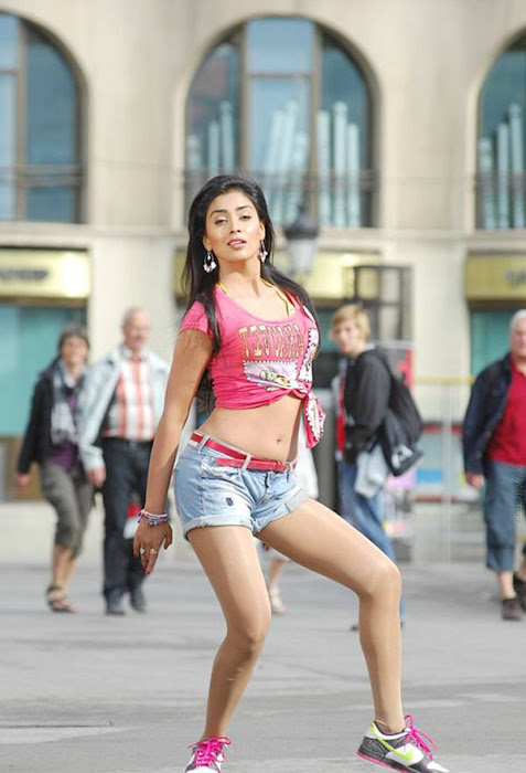 shriya saran posing unseen pics