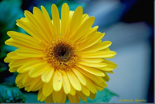 1 DSC_6361x1