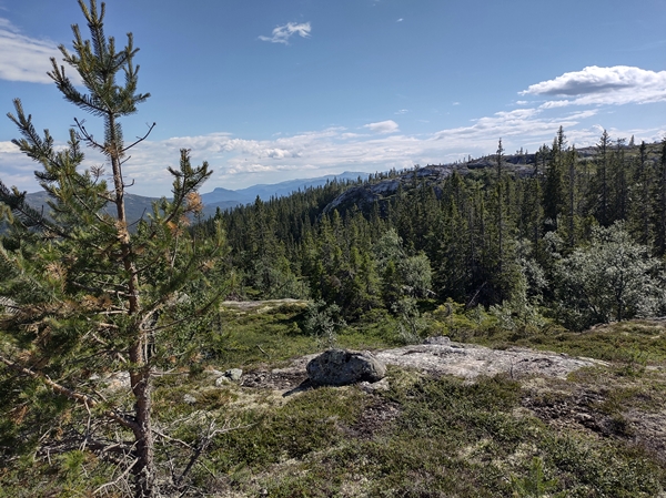 hallingdal flå turufjell stolpejakt