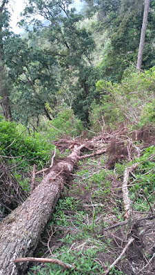 gunung buthak malang