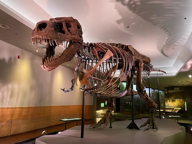 el t.rex pudieron haber tenido labios curiosciencia