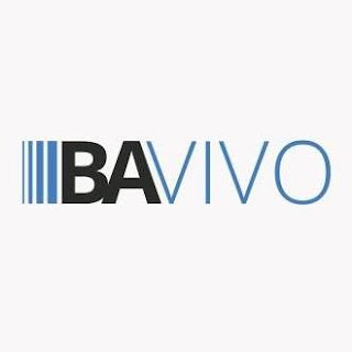 bavivo.com