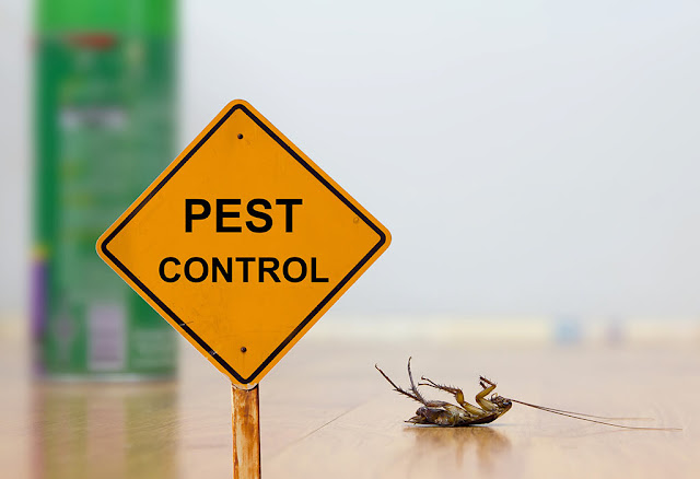 Chemical Pest Control Explained