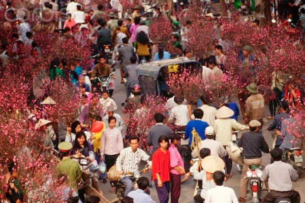 Vietnamese New Year 9