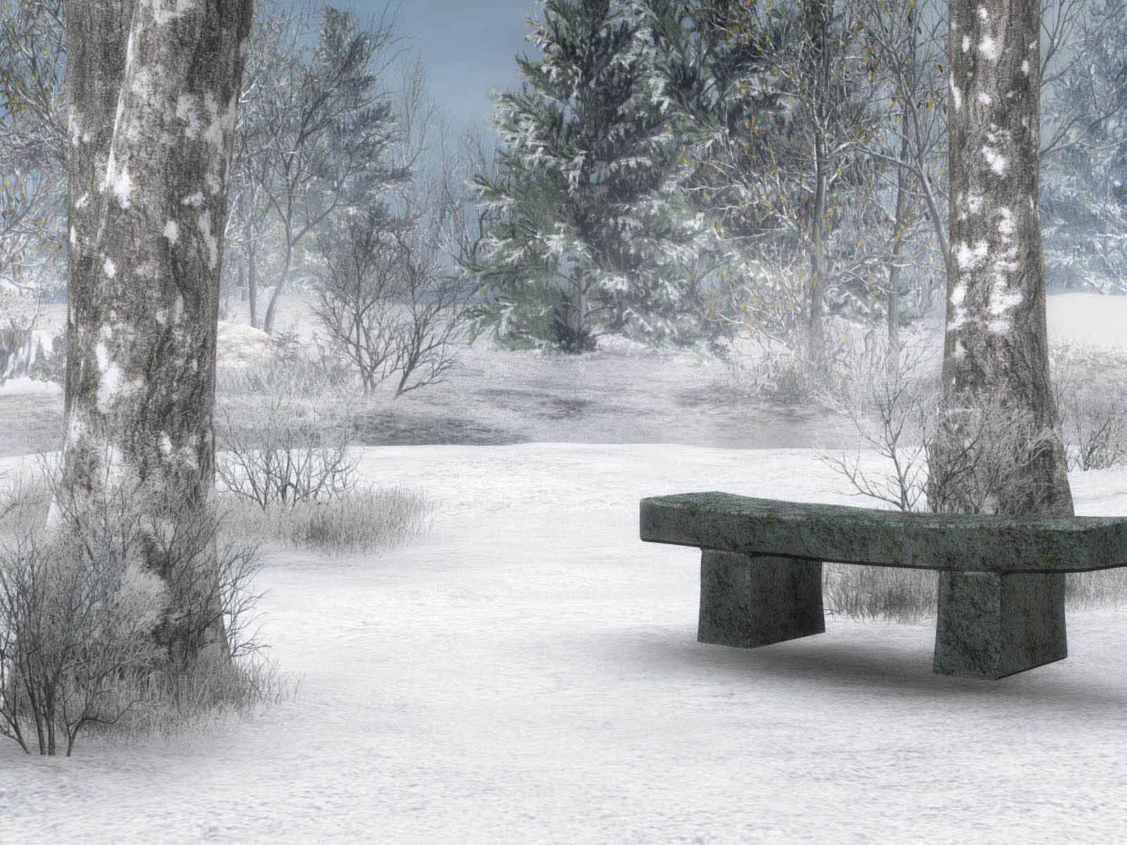 HD Wallpapers: Winter Scenes for Desktop