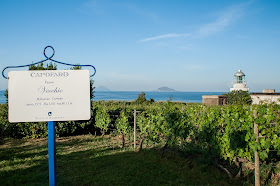 Malvasia della Lipari Tenuta Capofaro