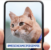 Promozione Hill's "Missione Amici per Sempre" : dona gratis 10.000 pasti a cani e gatti meno fortunati