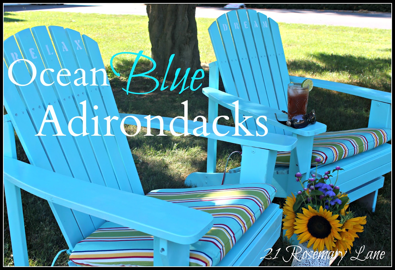  assemble yourself" Adirondack chairs from Home Depot for $29.95 each