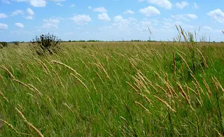 RESERVA NATURAL OTAMENDI