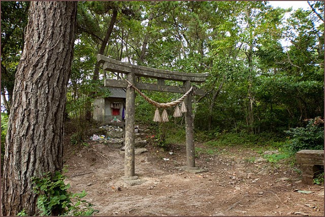 Neko jinja cat shrine cat island japan