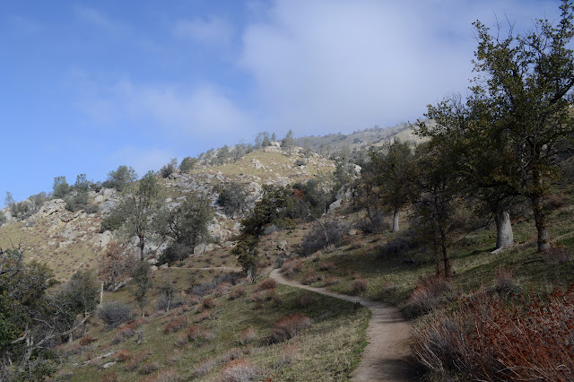 looking back over the trail