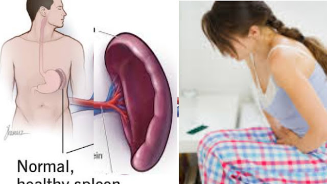 https://www.healthsphysician.com/2023/11/spleen-function.html