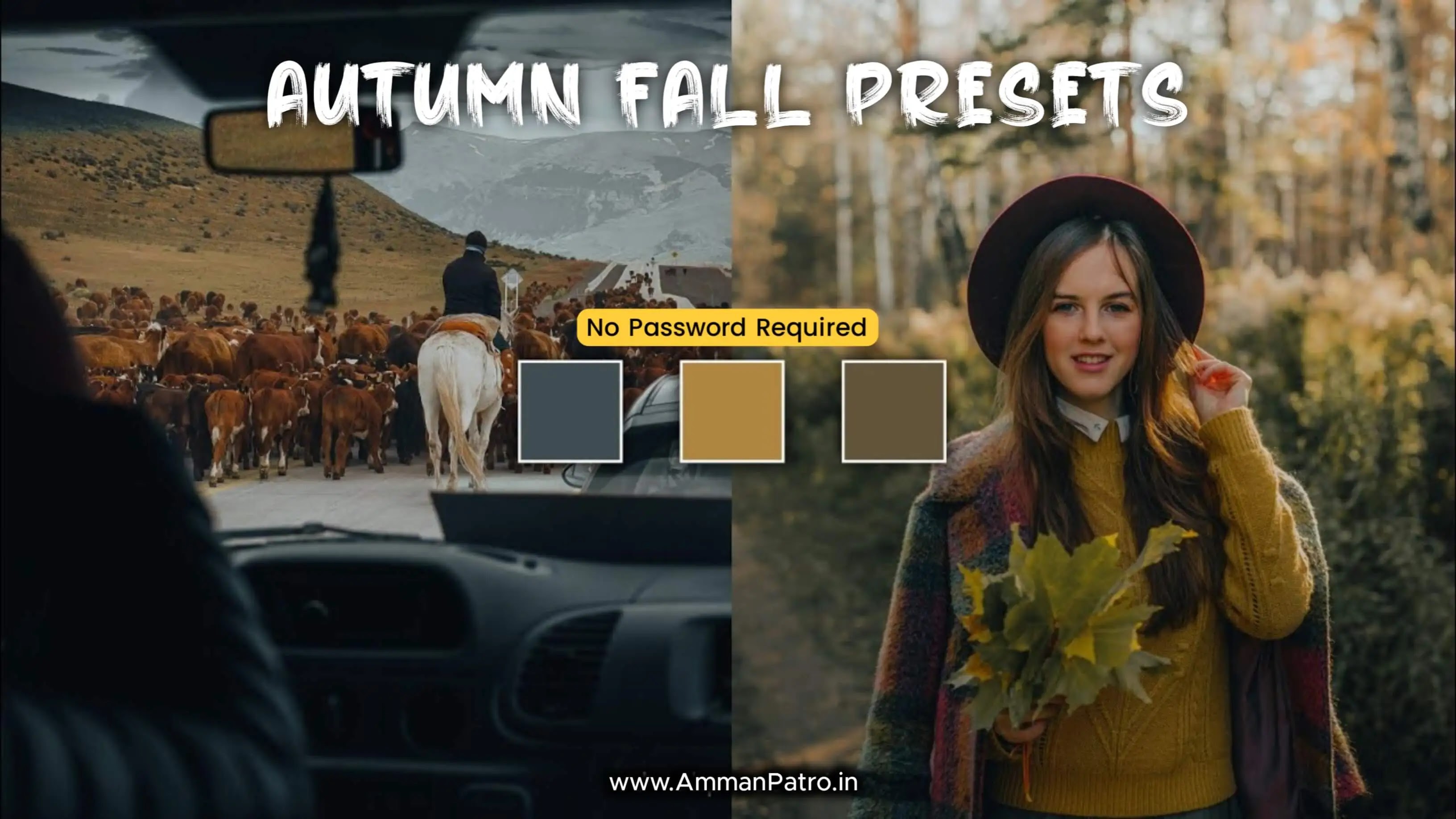 Autumn Fall Lightroom Presets FREE Download, Autumn Fall Free Lightroom Presets, Free Lightroom Presets, Free Presets, Autumn Fall Lightroom Presets