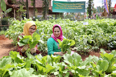 Lomba Kesatuan Gerak PKK Sebagai Wahana Meningkatkan Motivasi Kerja