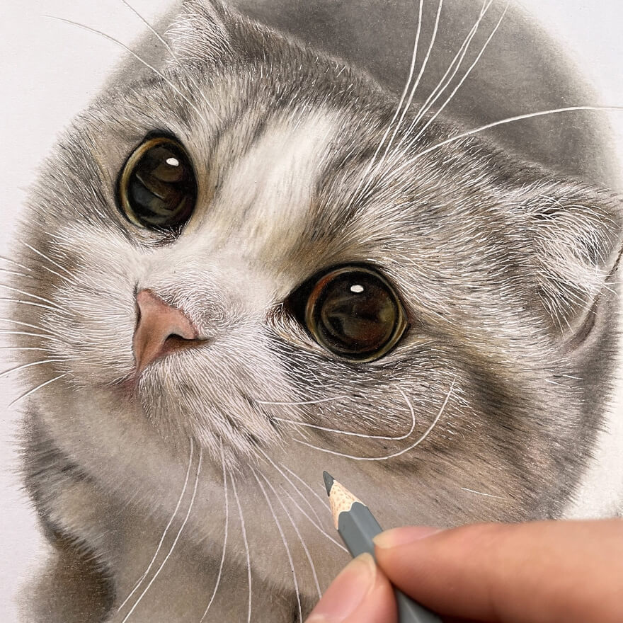 10-Pleading-eyes-Cat-Drawings-Haruki-Kudo-www-designstack-co