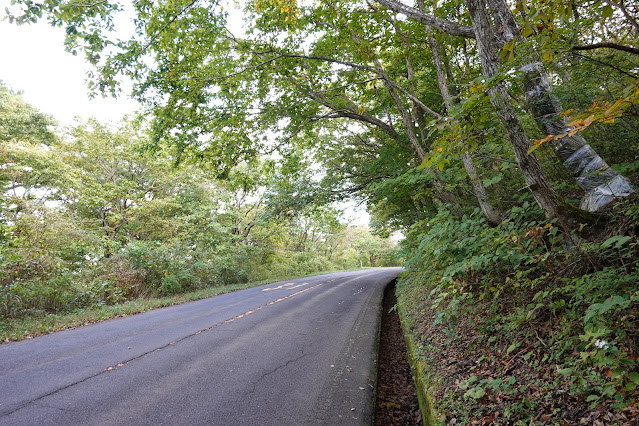 鳥取県西伯郡伯耆町　鳥取県道158号大山口停車場大山線