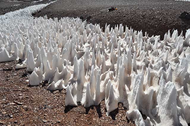 Penitentes