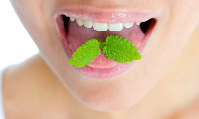 Remedios naturales para el mal aliento (+Sonrisa bonita y boca sana)