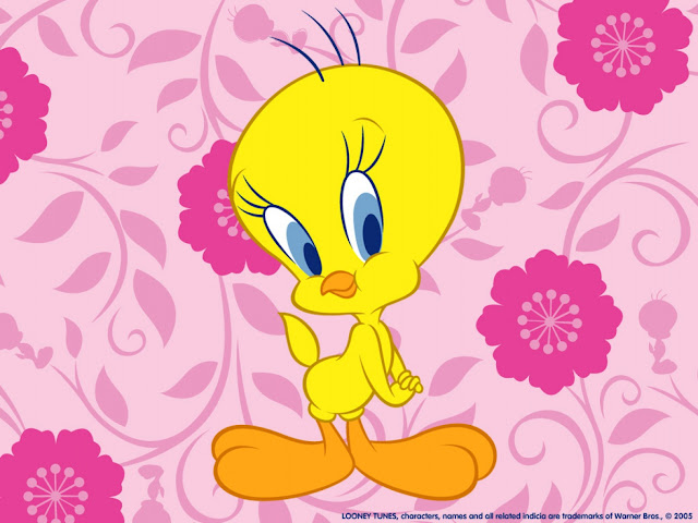 image Tweety on a pink background
