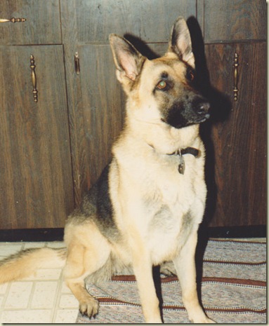 Heidi1