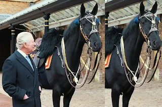 King Charles gifted by Canadian Police a New Horse