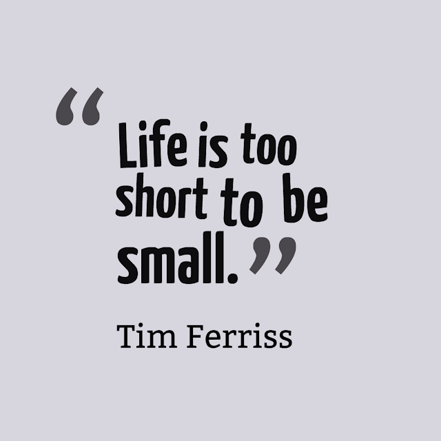 Short Tim Ferriss Quotes