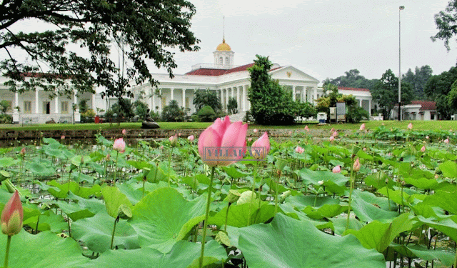 Kebun-Raya-Bogor