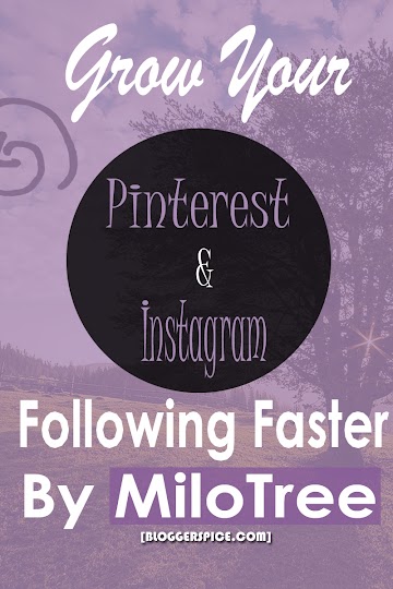 Grow Your Pinterest and Instagram Following faster By MiloTree 