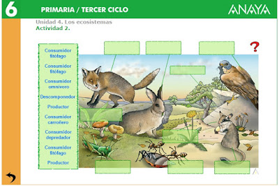 http://www.ceipjuanherreraalcausa.es/Recursosdidacticos/SEXTO/datos/02_Cono/datos/05rdi/04/02.htm