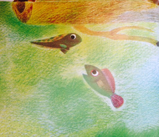Resultado de imagen para pez con un renacuajo animacion
