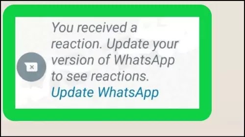 You Received A Reaction. Update Your Version of WhatsApp Problem Solved