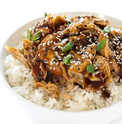 SLOW COOKER CHICKEN TERIYAKI