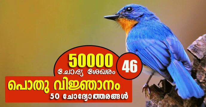 Kerala PSC | General Knowledge | 50000 Questions - 46