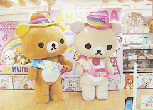 Rilakkuma♡Korilakkuma