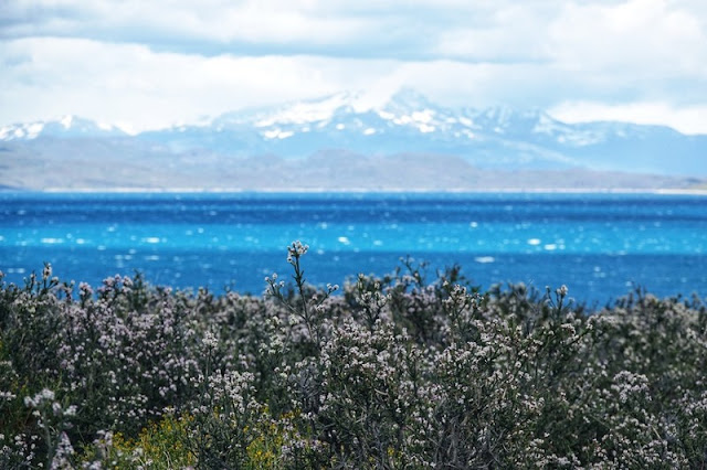 Giới thiệu địa điểm du lịch tuyệt đẹp ở Toress Del Paine, Chile 13