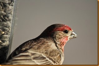IMG_6838