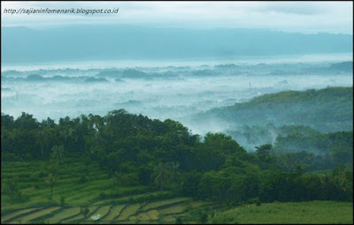 Sungguh Mengagumkannya Puncak Rembangan Di Jember