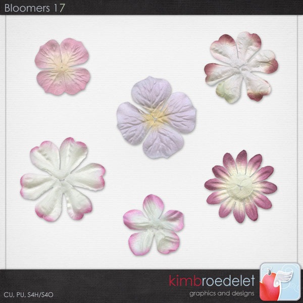 kb-bloomers17