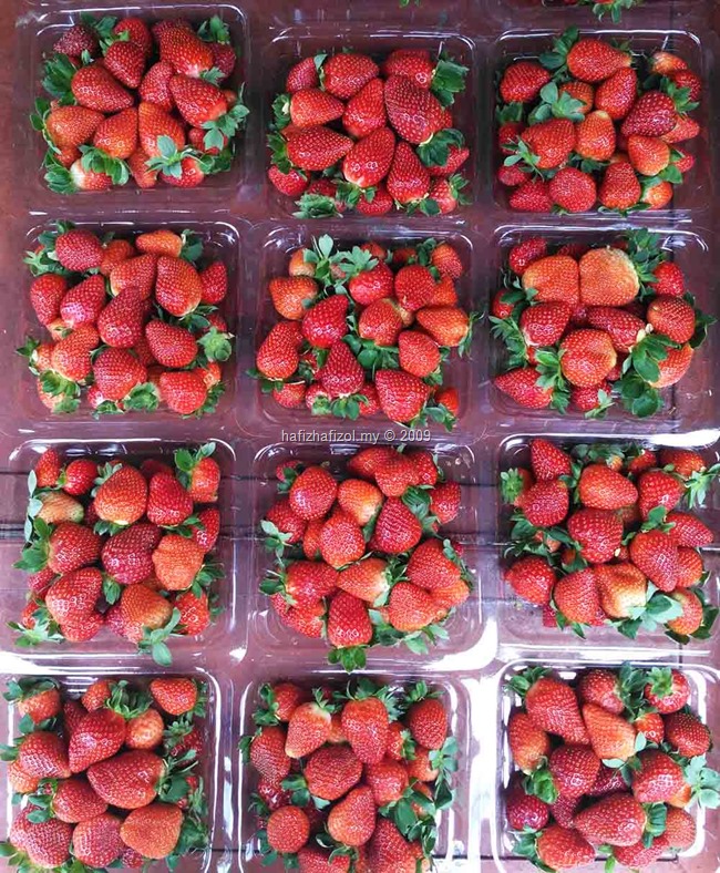 buah strawberi merah