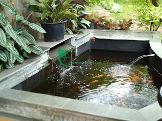 Alam indah asri adalah tukang kolam favorit warga jabodetabek dan bandung