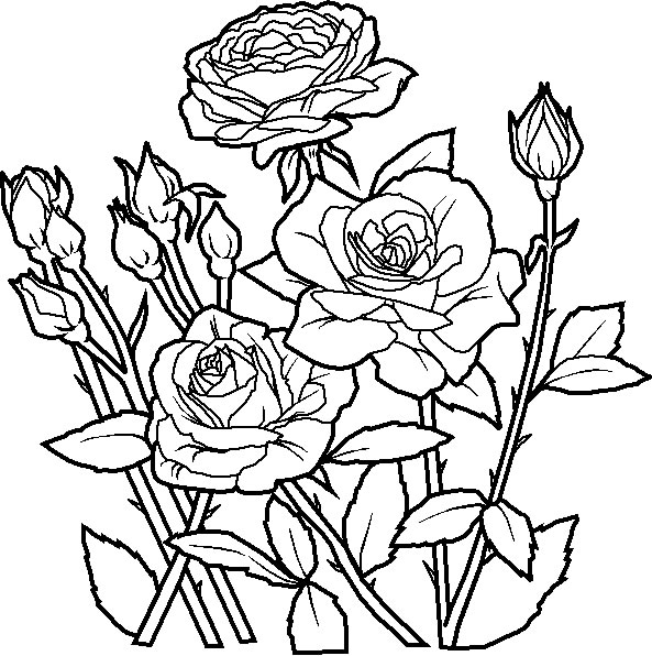 Fleurs Flowers Coloring Pages