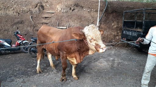 KADHISA, RITUAL  MISTIK MASYARAKAT BADERAN LERENG ARGOPURO