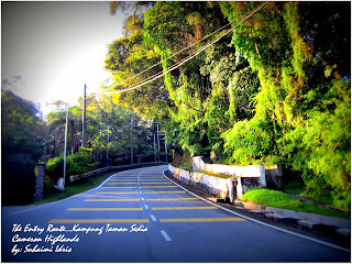 Marina Chalet and Homestay, Kampung Taman Sedia, Tanah Rata, Brinchang, Cameron Highlands,http://marinachalet.blogspot.com/