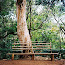 Bench - Oahu, Hawaii...