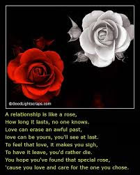   Latest HD Rose Day Quote IMAGES Pics, wallpapers free download 43