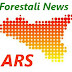 Ars, i 29 furbetti del tesserino  I grillini incalzano: 