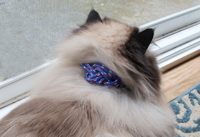 4th July lope cat collar 05