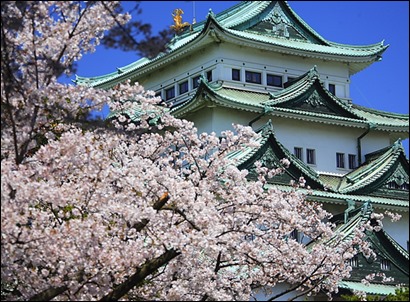 sakura castle